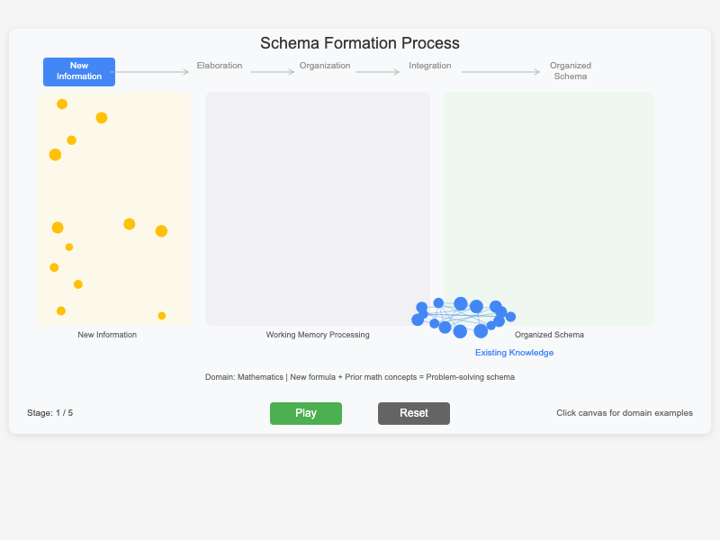 Schema Formation Process