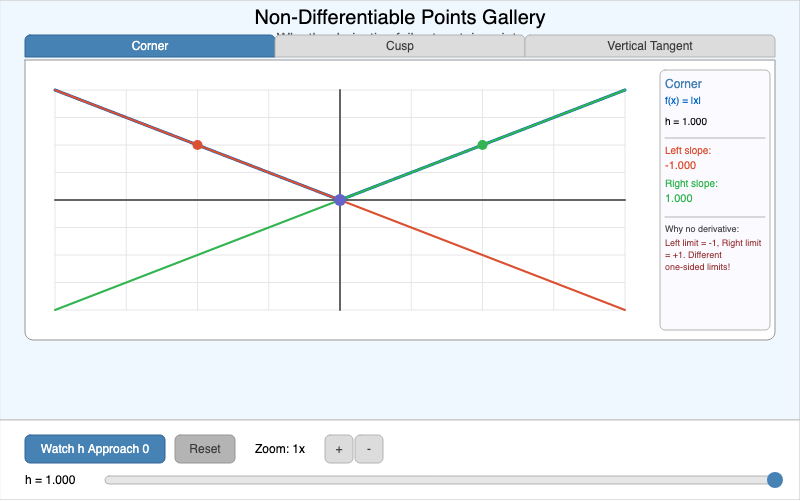 Non-Differentiable Points Gallery