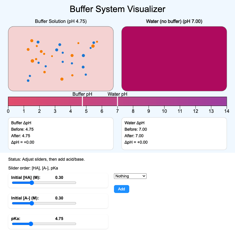 Buffer System Visualizer