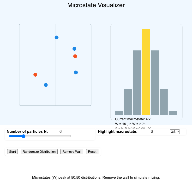 Microstate Visualizer