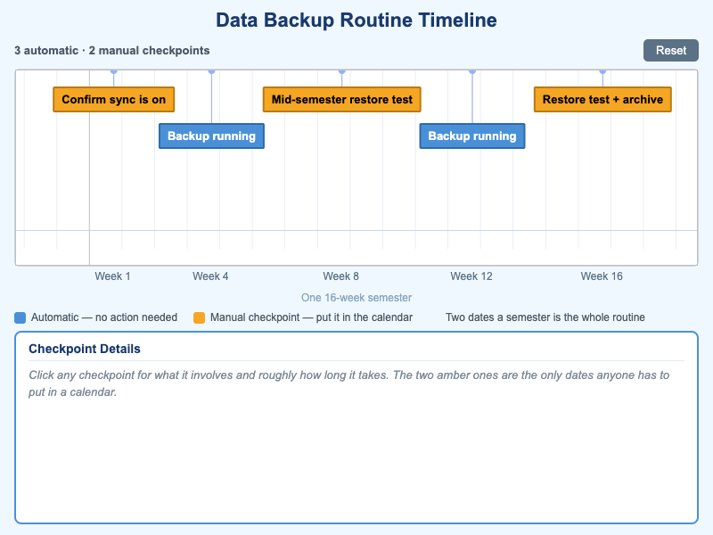 Data Backup Routine Timeline