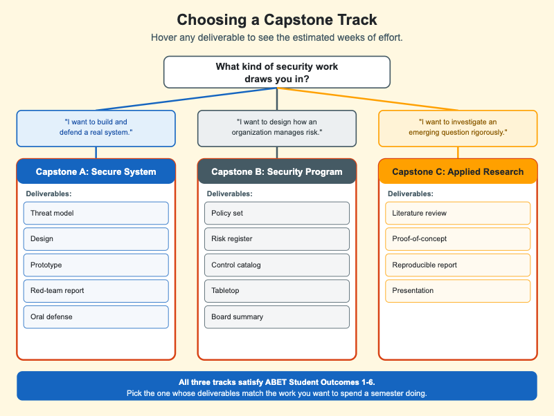 Choosing a Capstone Track