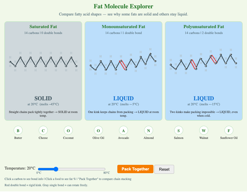 Saturated vs. Unsaturated Fat Explorer