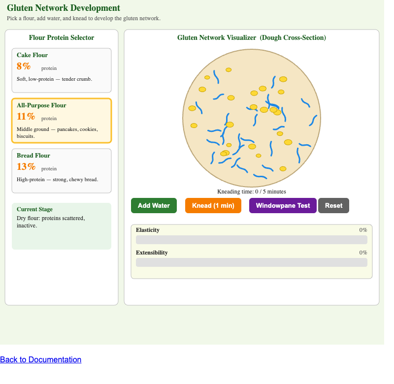 Gluten Network Development