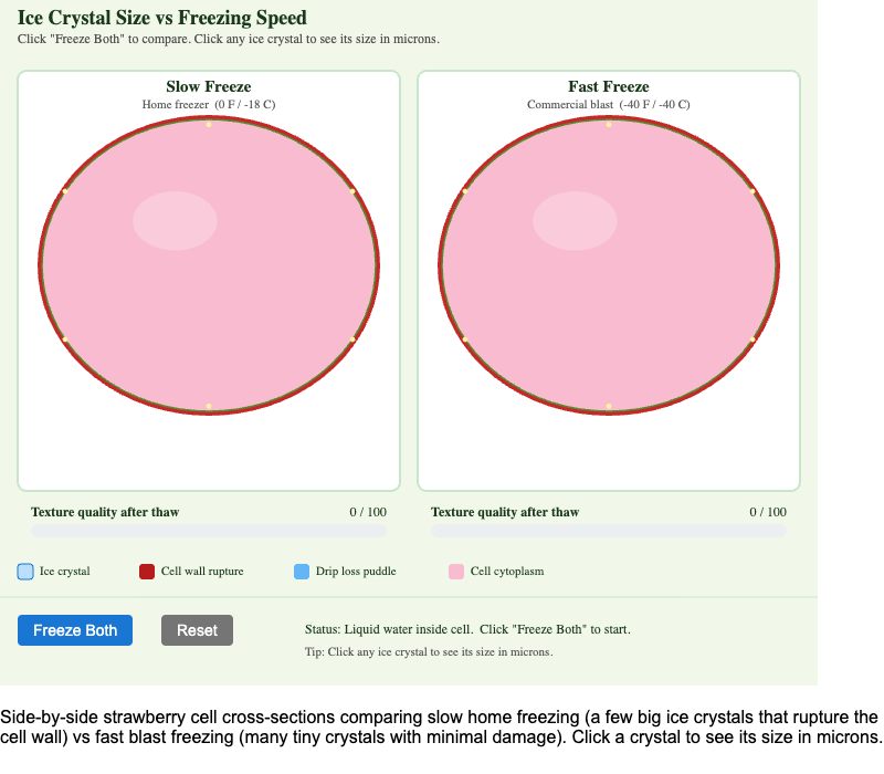 Freezing Rate and Ice Crystal Size