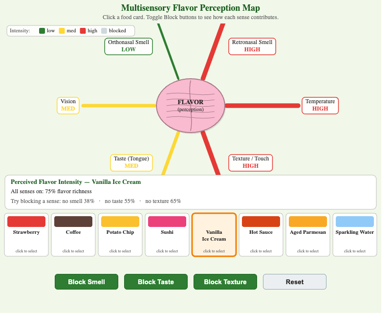 Multisensory Flavor Perception Map