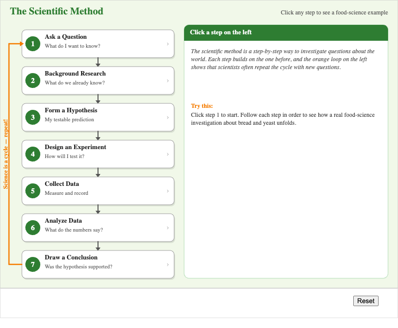 Scientific Method Steps Explorer