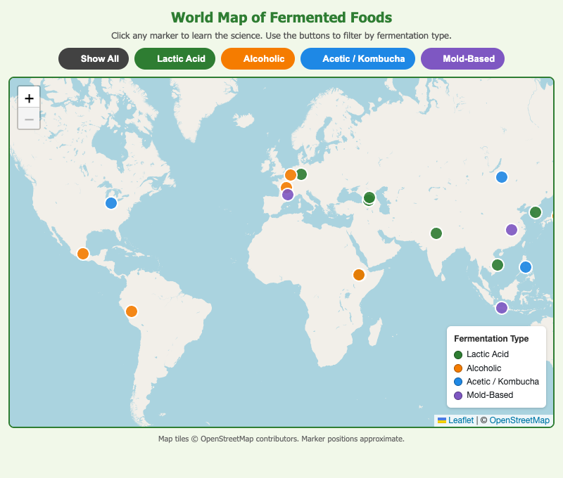 World Map of Fermented Foods