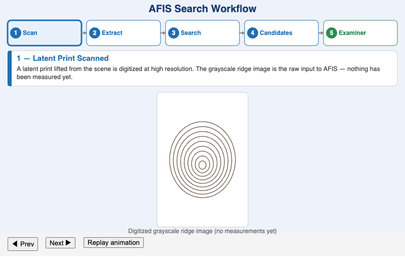 AFIS Search Workflow