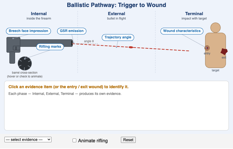 Firearms Ballistic Pathway