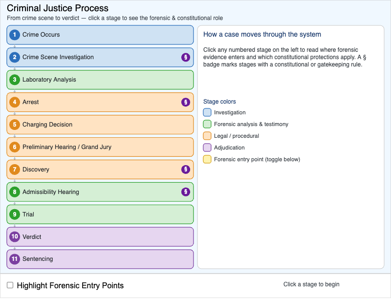 Criminal Justice Process — From Crime Scene to Verdict