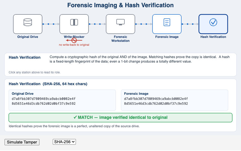 Forensic Imaging & Hash Verification Workflow