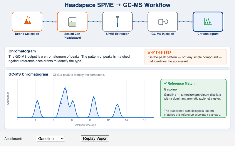 Headspace SPME → GC-MS Workflow