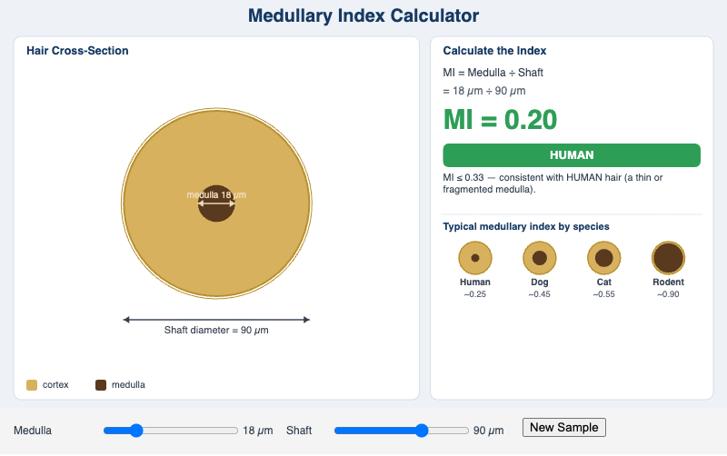 Medullary Index Calculator