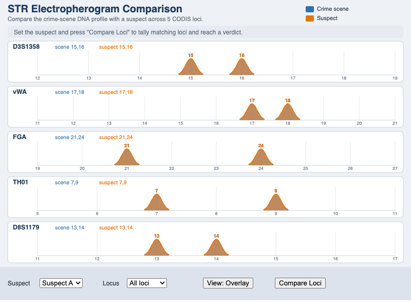 STR Electropherogram Comparison
