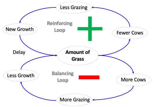 Tragedy of the Commons Diagram