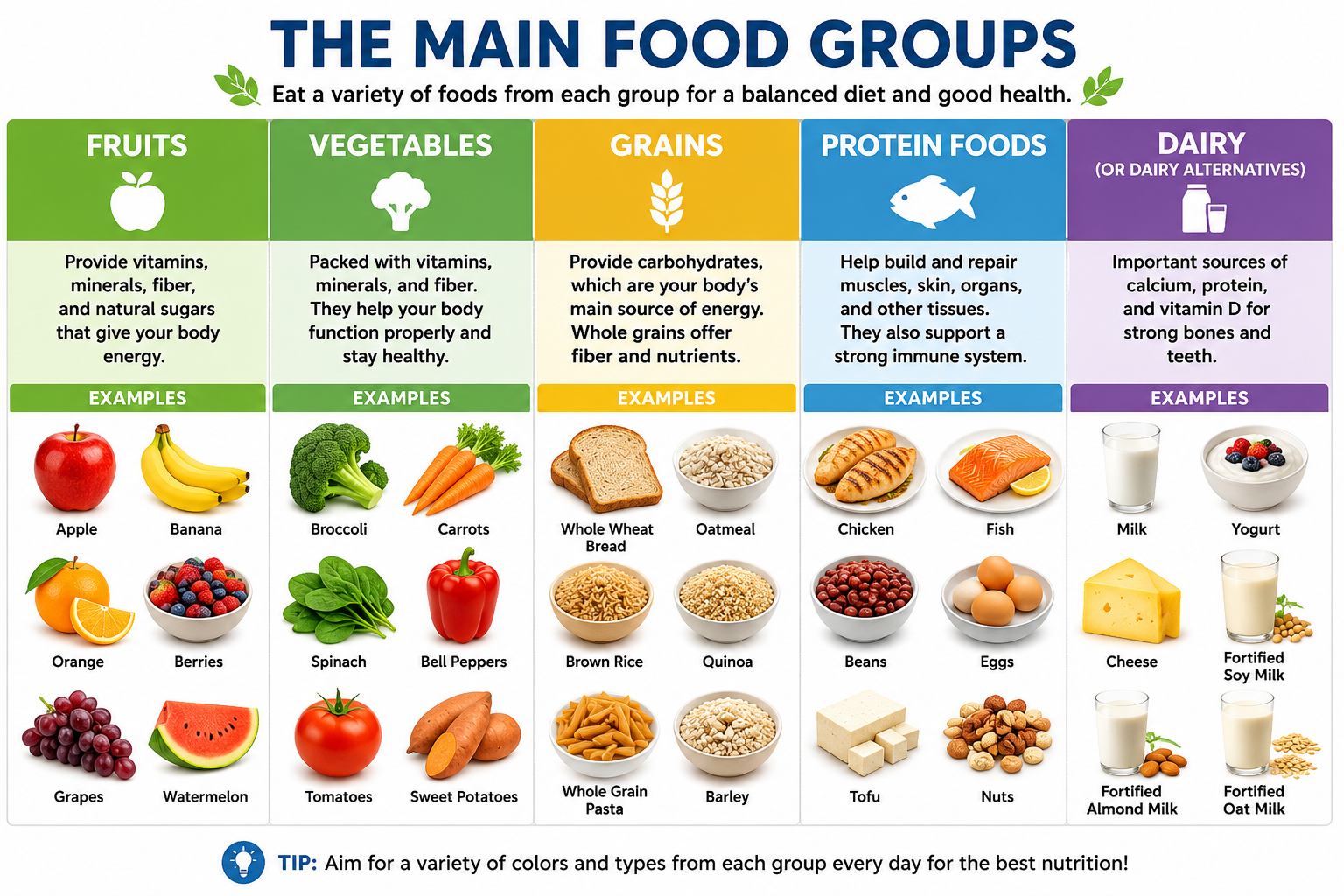 Food Groups