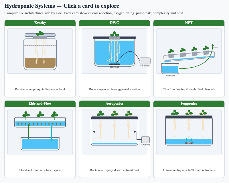 Hydroponic Systems Side-by-Side Comparison