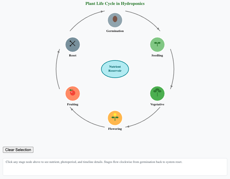 Plant Life Cycle Stages Explorer