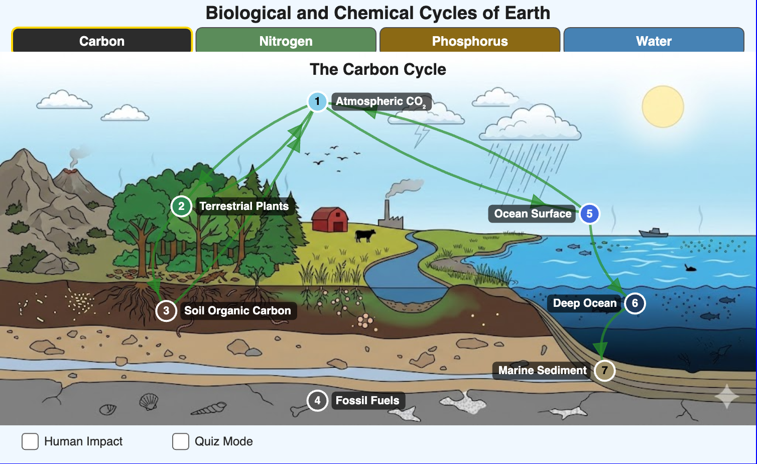Biogeochemical Cycles Dashboard