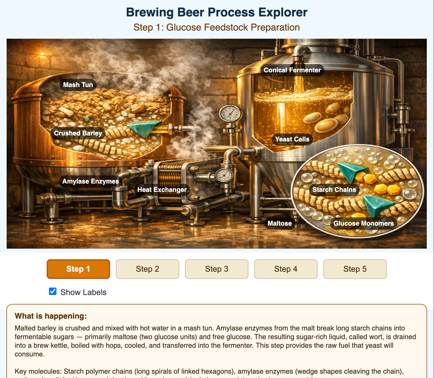 Brewing Beer Process Explorer