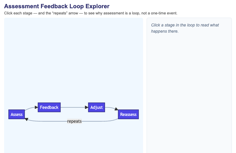 Assessment Feedback Loop Explorer