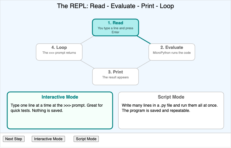 REPL Workflow Diagram