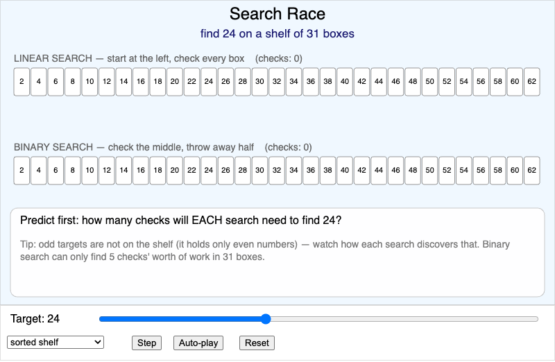 Search Race