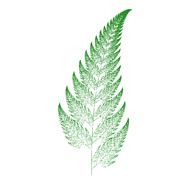 Barnsley Fern