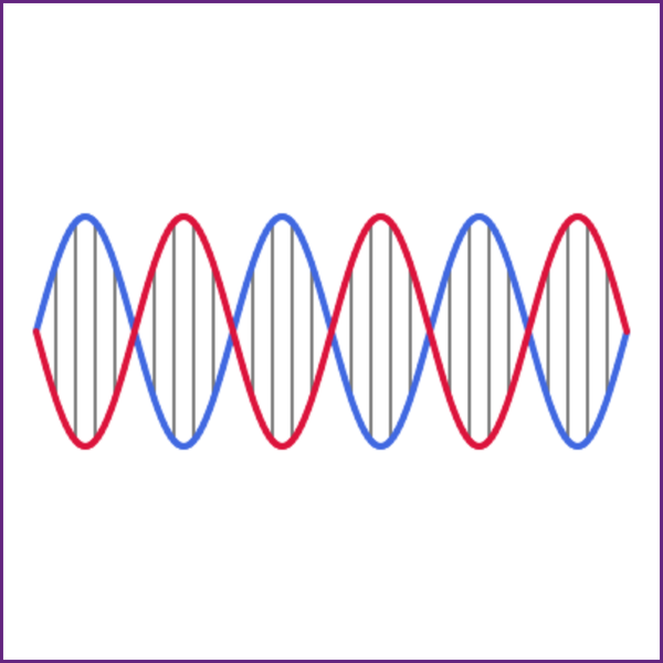 DNA Double Helix