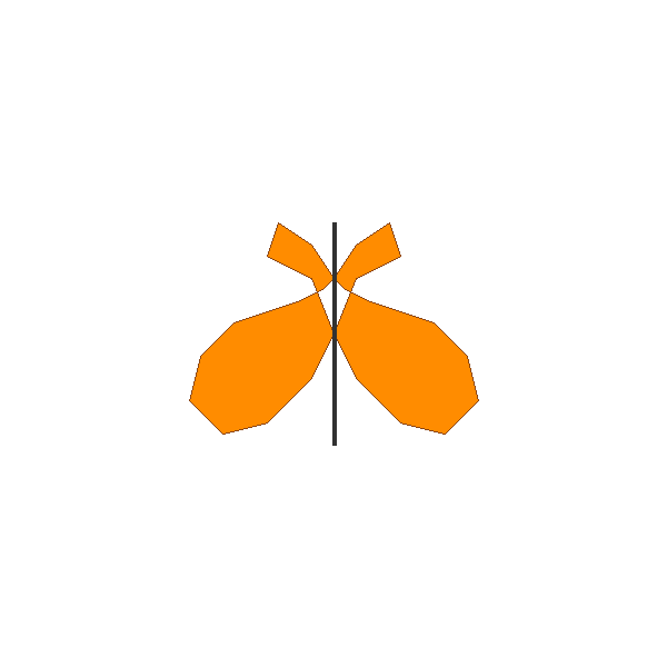 Mirror Butterfly