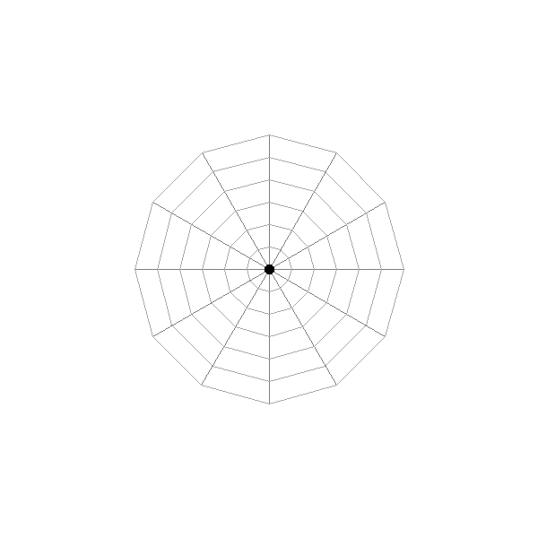 Spider Web