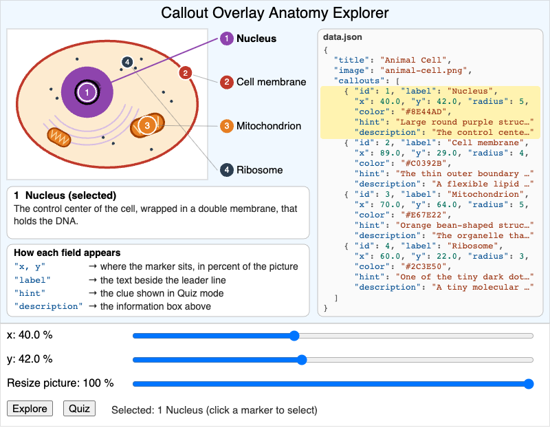 Callout Overlay Anatomy Explorer