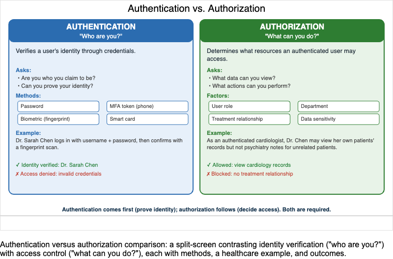 Authentication vs Authorization Comparison Infographic