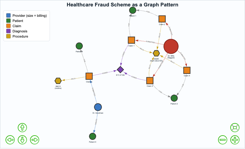 Healthcare Fraud Scheme Network Visualization