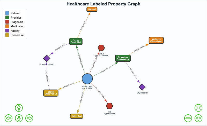 Healthcare Labeled Property Graph Visualization