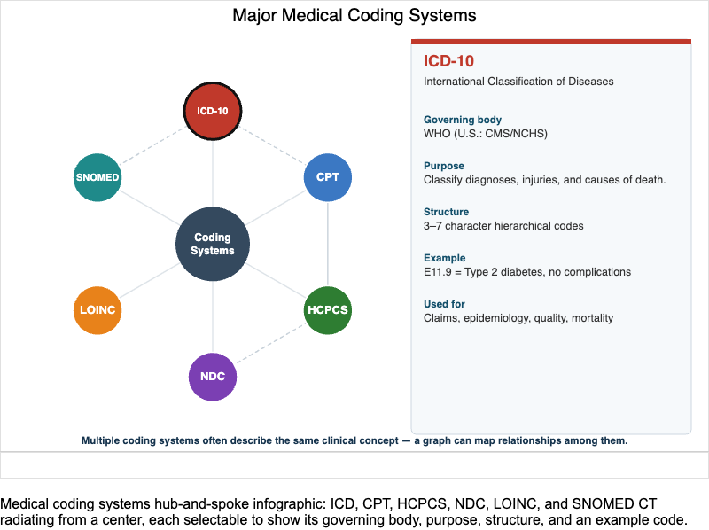 Medical Coding Systems Interactive Infographic
