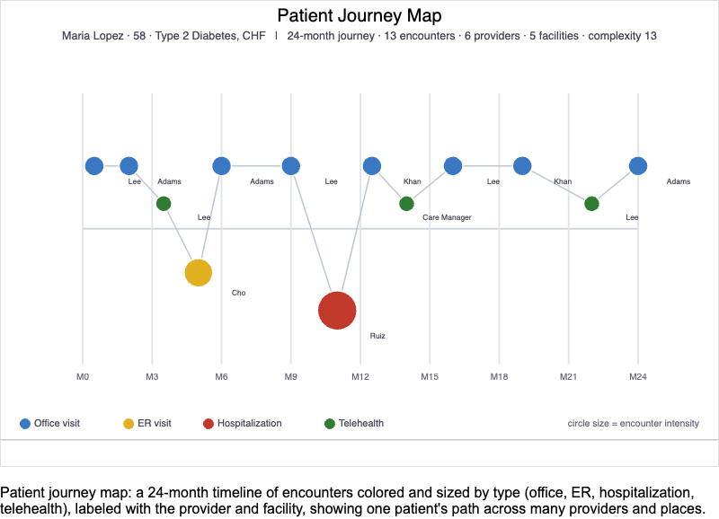 Patient Journey Map Interactive Visualization