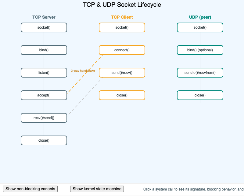 "TCP and UDP Socket Lifecycle"