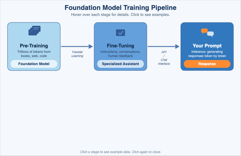 Foundation Model Training Pipeline