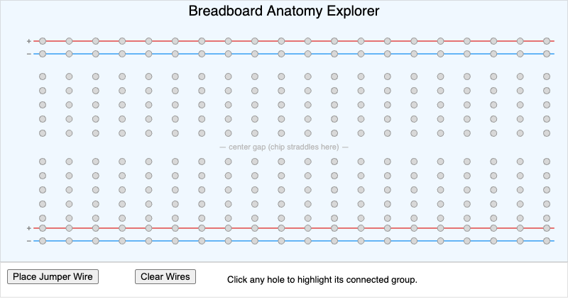 Breadboard Anatomy Explorer