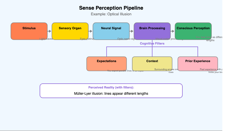 Sense Perception and Interpretation